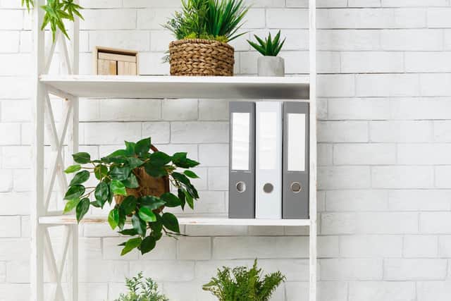 Include plants in your working environment. Photo: Adobe