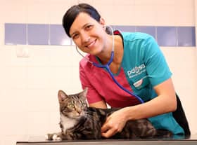 Ensuring your pet gets the best care PDSA (photo:  Alex Cantrill-Jones/ACJ Media)