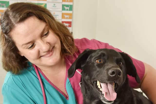 Milo, a cross breed aged five, ate slug pellets from a garden pot but was saved from the brink of death by PDSA Vets