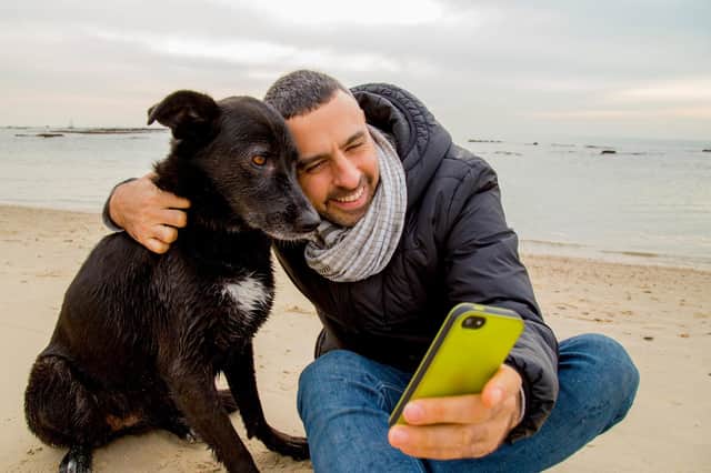 The average cat or dog racks up 925 admirers each on social media, research found (photo: Adobe)