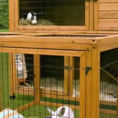 Large hutch with run is ideal for rabbits (photo: Quench Studios)