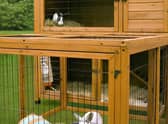Large hutch with run is ideal for rabbits (photo: Quench Studios)
