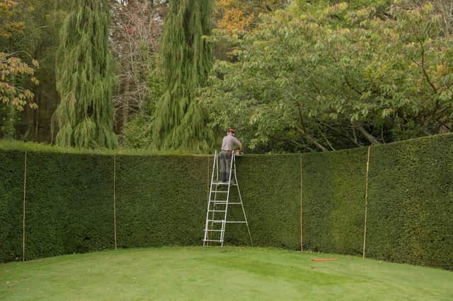 RHS research has shown that hedges have many benefits (photo: Adobe)