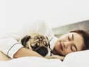 Allowing your dog to sleep in your bed can have health benefits (photo: Adobe)