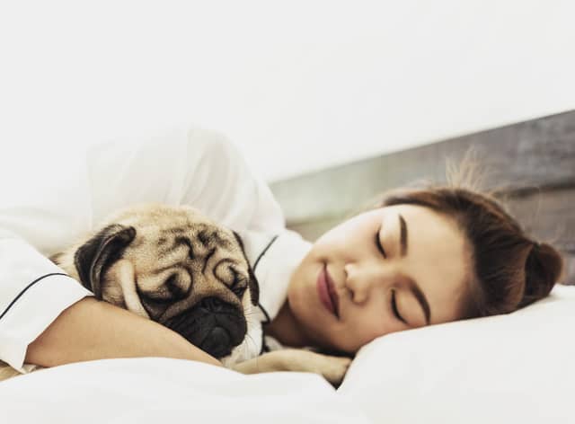 Allowing your dog to sleep in your bed can have health benefits (photo: Adobe)
