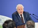 David Attenborough takes the top spot with 17 percent of votes from a pick of 30  celebrities
