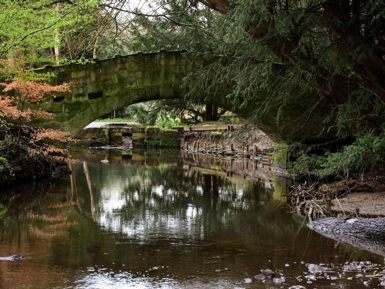 A fully inclusive Leeds LGBT+ dog walking club meeting at Meanwood Park at 8.45am for a 9.00am start today (April 24). The walk will last around an hour and everyone is welcome, even if you don't have a dog! It's free to join and you can register your interest and get a ticket on the Eventbrite website.
