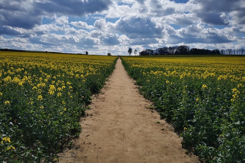Blazej Daniel Olevitzky proved he had an eye for angles with this photo of stunning clouds over a field of rapeseed.