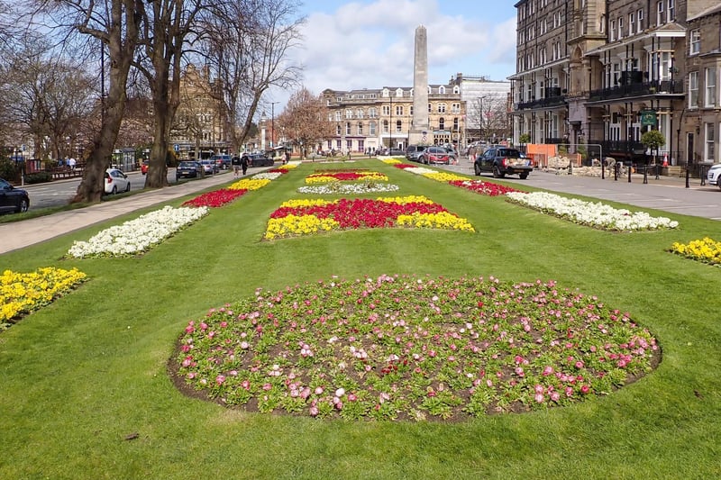 Spring bedding brightening up the town, by Judy Cope.