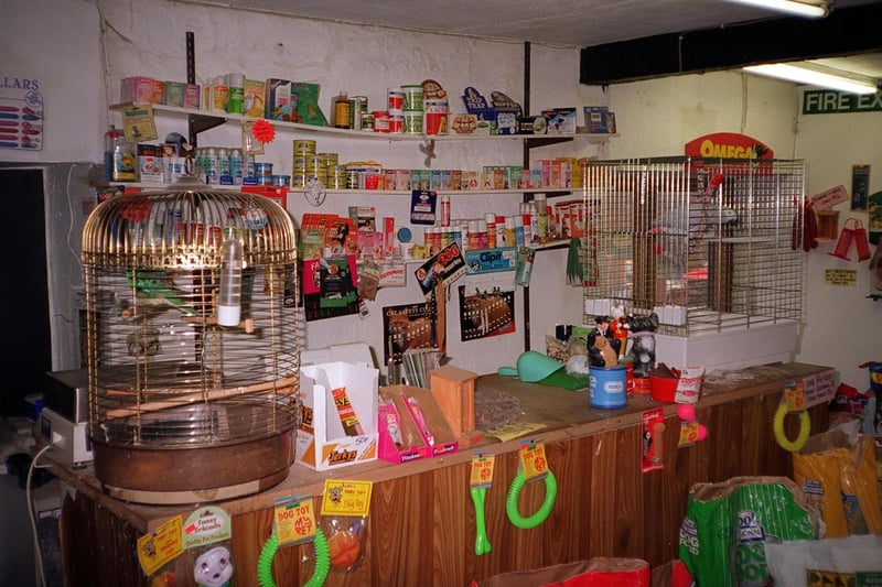 Do you remember the Blue Parrot Pet Shop on Clifton Hill? Pictured in February 1997.