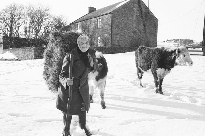 Hannah Hauxwell at Low Birk Hatt in Baldersdale