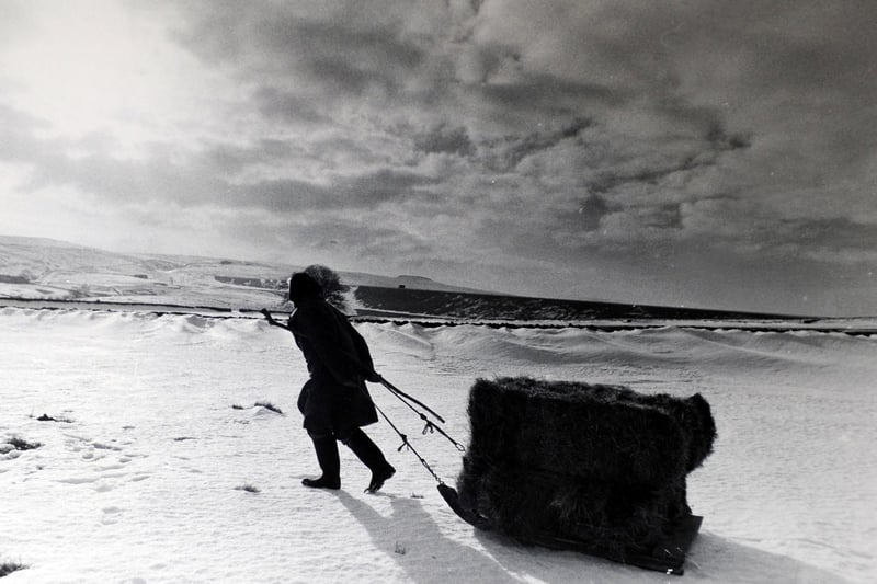 Hannah Hauxwell featured in TV documentarys in the 70s about her hard life as a single farmer living in the wilds of North Yorkshire. (Pic: Andrew Varley)