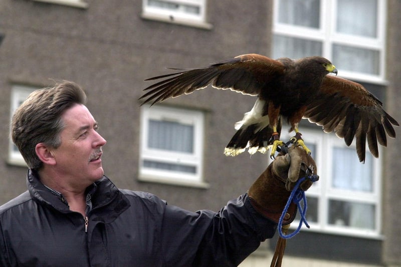 Hawk the Hawk was drafted in to help rid the Lincoln Green estate of pigeons. He is pictured with Coun Gerry Harper.