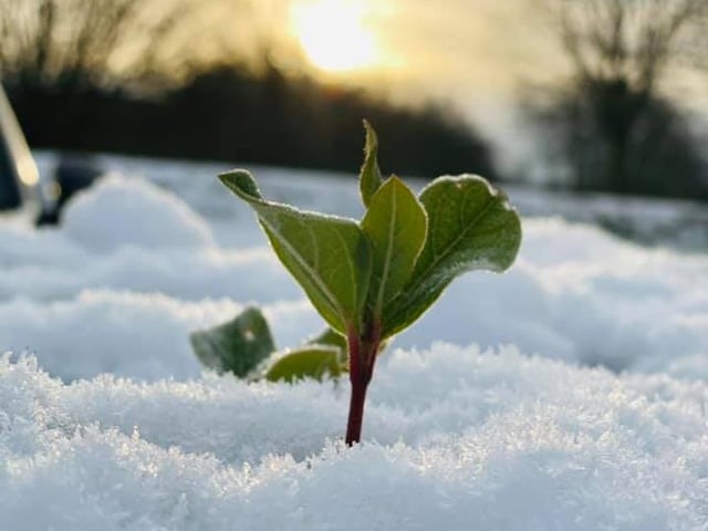 Are we already seeing the first signs of Spring?