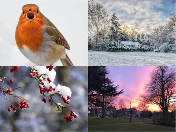 We asked our readers to send in their favourite pictures they took across the county this week.