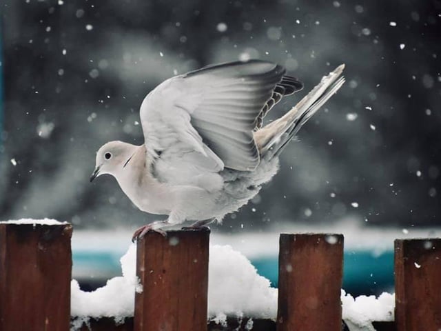 Ready for take off?