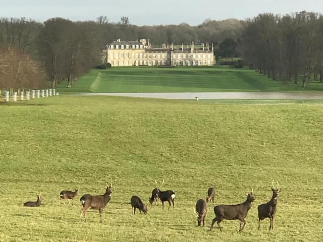 Taken at Boughton House in Kettering.