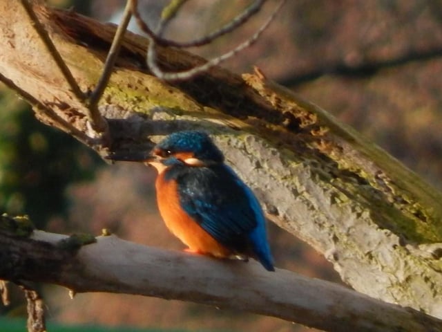 Taken at Wicksteed Park.