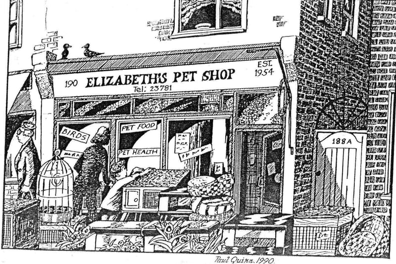 Elizabeth's Pets, Seaside