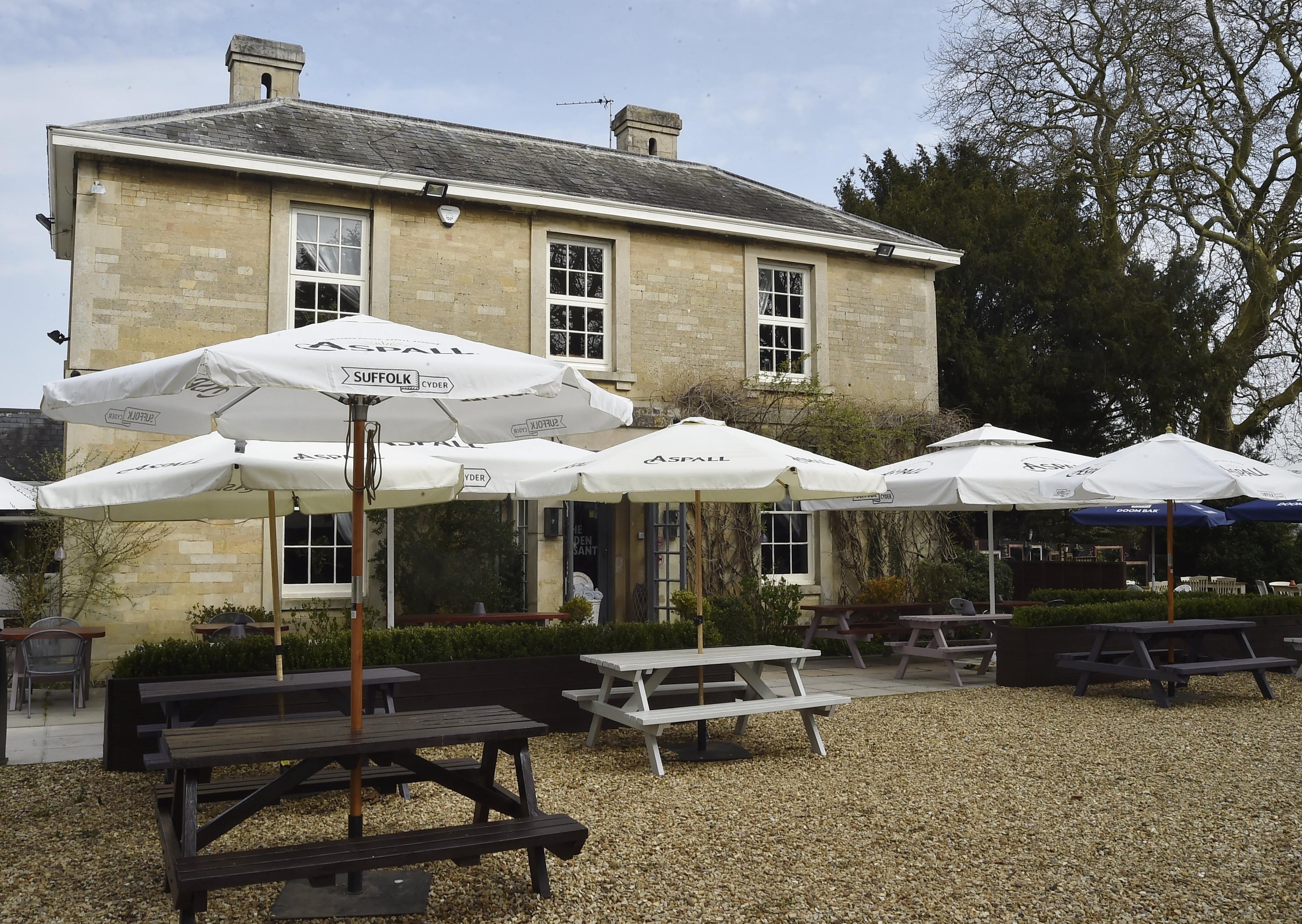 Golden Pheasant at Etton EMN-210331-132237009