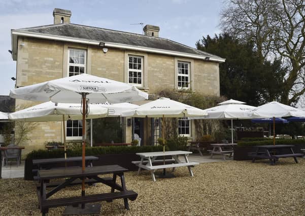 Golden Pheasant at Etton EMN-210331-132237009