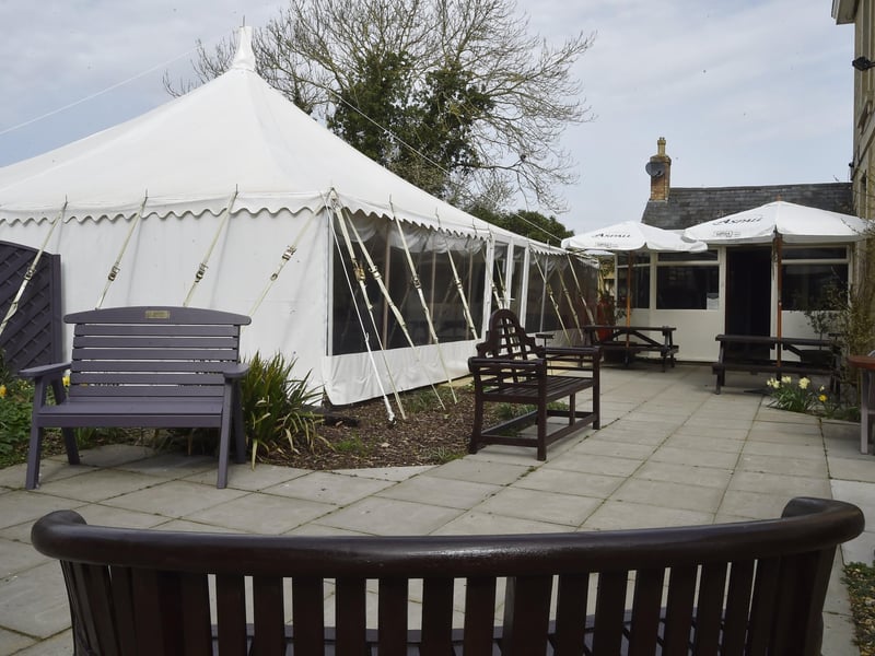 Golden Pheasant at Etton EMN-210331-132248009