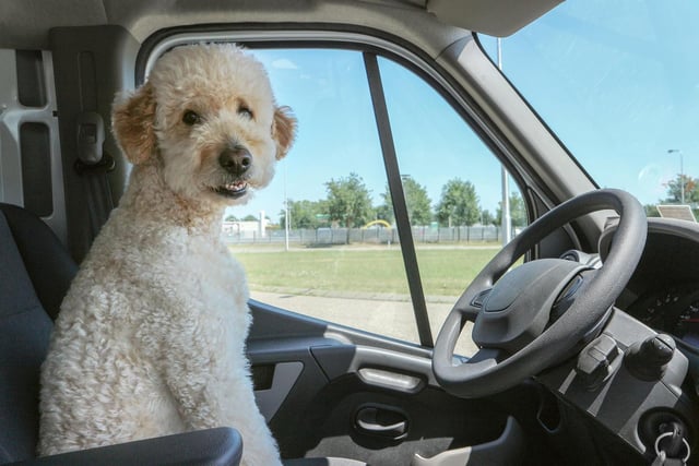 All ready to rev up and go...