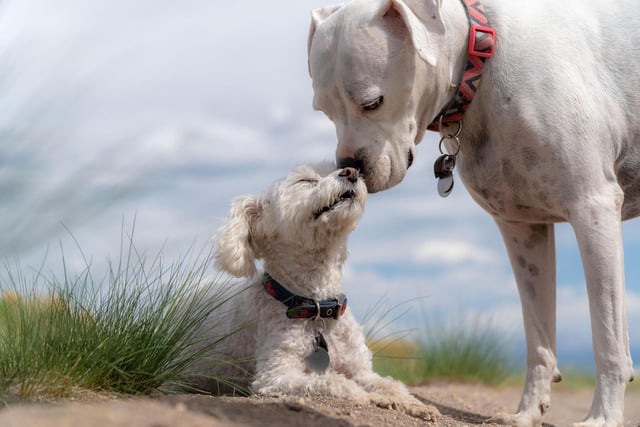Old friends or accquaintances...