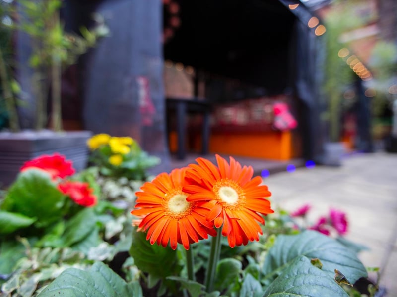 Bosses have spent a lot of time on the garden to make sure it is an inviting space. Photo: Kirsty Edmonds.