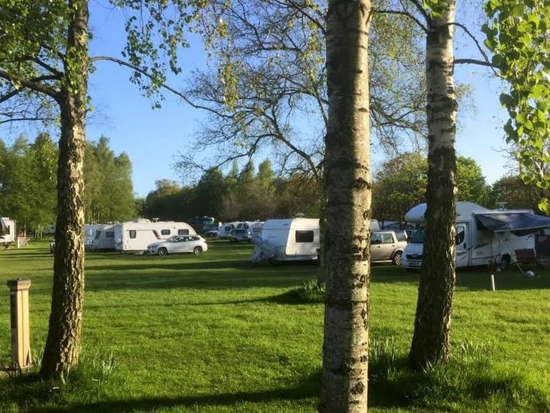 Stanford Hall Caravan Park is only a few miles from main roads in acres of well-kept grass lawns, interspaced by trees and surrounded by woods. Stanford Park is a short walk away, with a private trail for caravaners that takes you through the park and into the ancient woodland. Freshly grown vegetables and lamb from the estate can be purchased at the shop. The Chequers Pub is just a 15-minute walk away, in the local village of Swinford. Very friendly staff are always available to welcome and look after you.