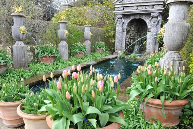 Tulips in the Collector Earl's Garden at Arundel Castle. Photograph: Steve Robards/ SR2104093 (14)