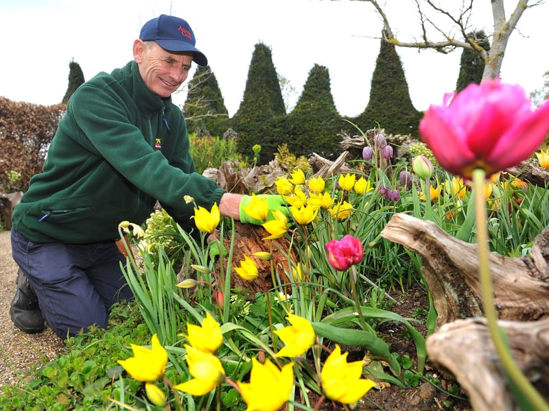 Arundel Castle's head gardener Martin Duncan. Photograph: Steve Robards/ SR2104093 (3)
