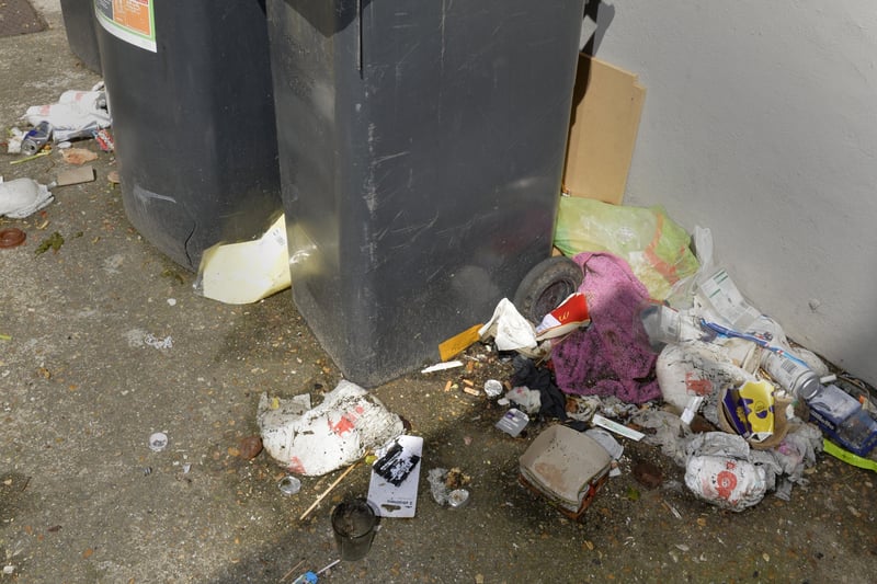 Overflowing refuse bins in Eastbourne (Photo by Jon Rigby) SUS-211105-091852001