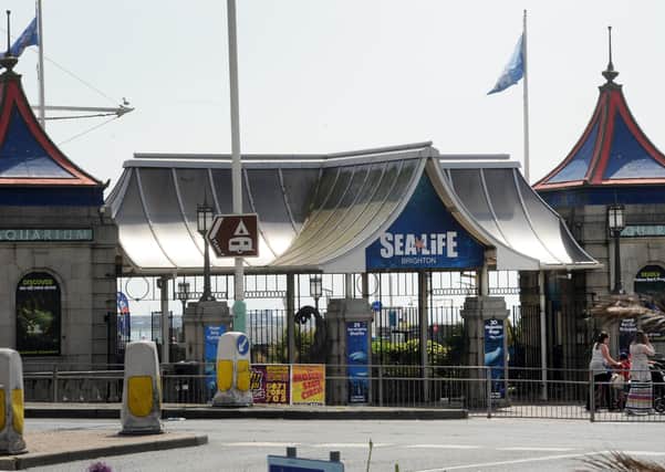 The Sealife Centre in Brighton will welcome visitors back from May 17