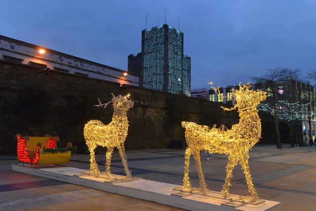 The Reindeers in Guildhall Square. Photos: George Sweeney. DER2150GS – 038