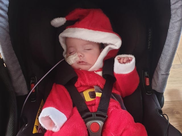 Eight-week-old James. Picture: Ruth Tompkins