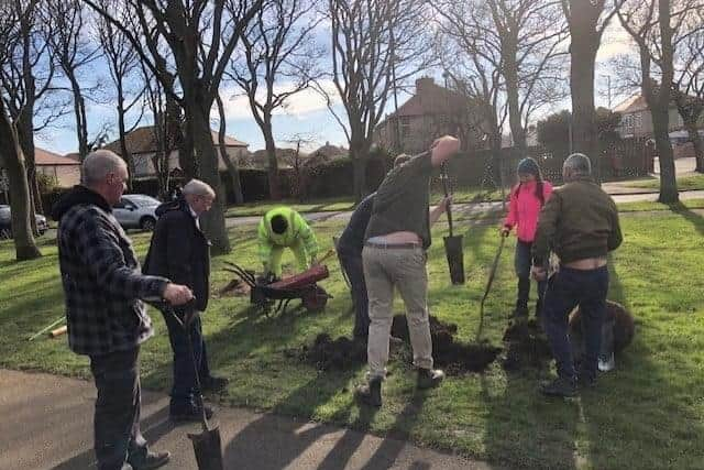 Tree planting at Redhead Park