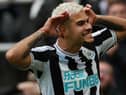 Bruno Guimaraes celebrates his goal against Brentford last weekend in a FUN88-branded Newcastle United shirt.