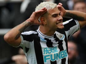 Bruno Guimaraes celebrates his goal against Brentford last weekend in a FUN88-branded Newcastle United shirt.