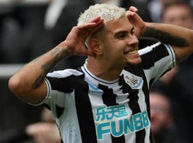 Bruno Guimaraes celebrates his goal against Brentford last weekend in a FUN88-branded Newcastle United shirt.