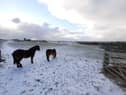 Snow on the hills earlier on this morning.