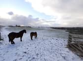 Snow on the hills earlier on this morning.