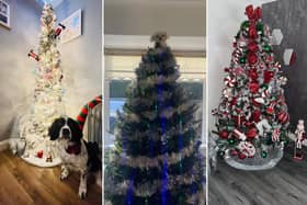 Readers have been sharing their Christmas decorations pictures ahead of the big day - less than five weeks to go!