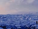 'So we just slip into our bathers and jump in. Invigorating innit?'