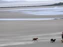 Which beaches made the cut at the Blue Flag awards 2023