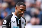 Callum Wilson is Newcastle United's No.9 this season.