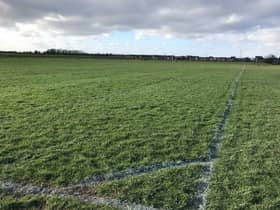 Playing fields such as Chuter Ede are being considered for housing as part of the Draft Local Plan.