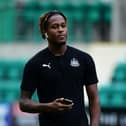 EDINBURGH, SCOTLAND - JULY 30: Rolando Aarons of Newcastle United on the pitch ahead of the Pre-Season Friendly match between Hibernian FC and Newcastle United FC at Easter Road on July 30, 2019 in Edinburgh, Scotland. (Photo by Mark Runnacles/Getty Images)