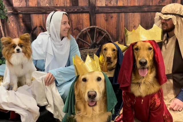 Joanna Hicklin and Tim Robinson as Mary and Joseph with Teddy, who played baby Jesus and the Three Wise Men, Pablo, Freddie and Dixie.