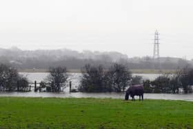 A Yellow weather warning for wind has been issued for South Tyneside today.